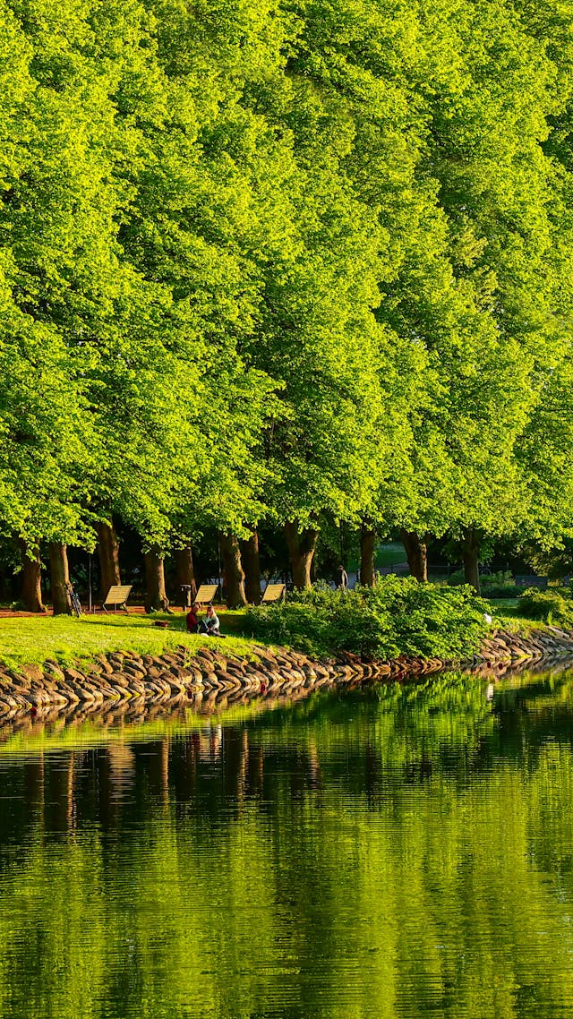 Beautiful parks and waterways in Malmö